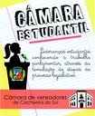 Definidos os vereadores-orientadores dos participantes do Câmara Estudantil de 2015