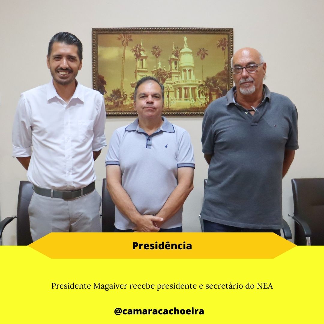 Presidente Magaiver recebe presidente e secretário do NEA