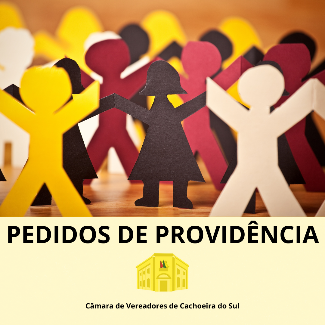 Veja os Pedidos de Providência feitos pelos vereadores